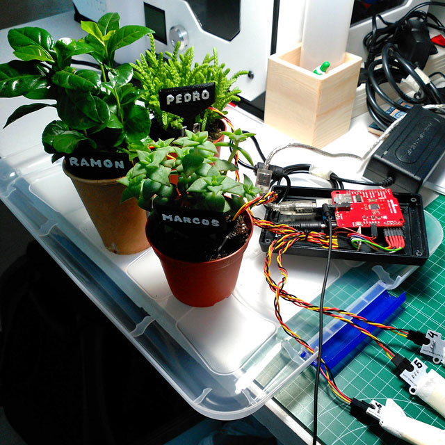 Thirsty Plants — 1