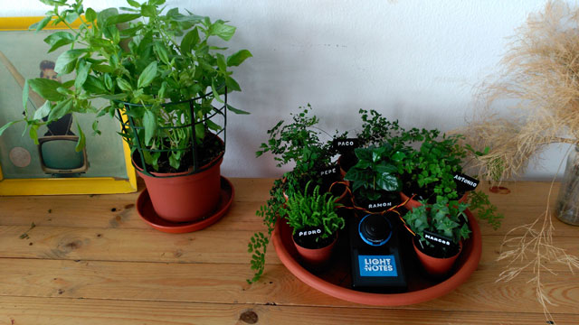 Thirsty Plants — 3